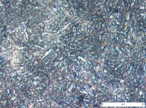 Detalle de la microestructura anterior. Las agujas de ferrita aparecen rebordeadas de cementita. En este estado, el material es extremadamente frágil.