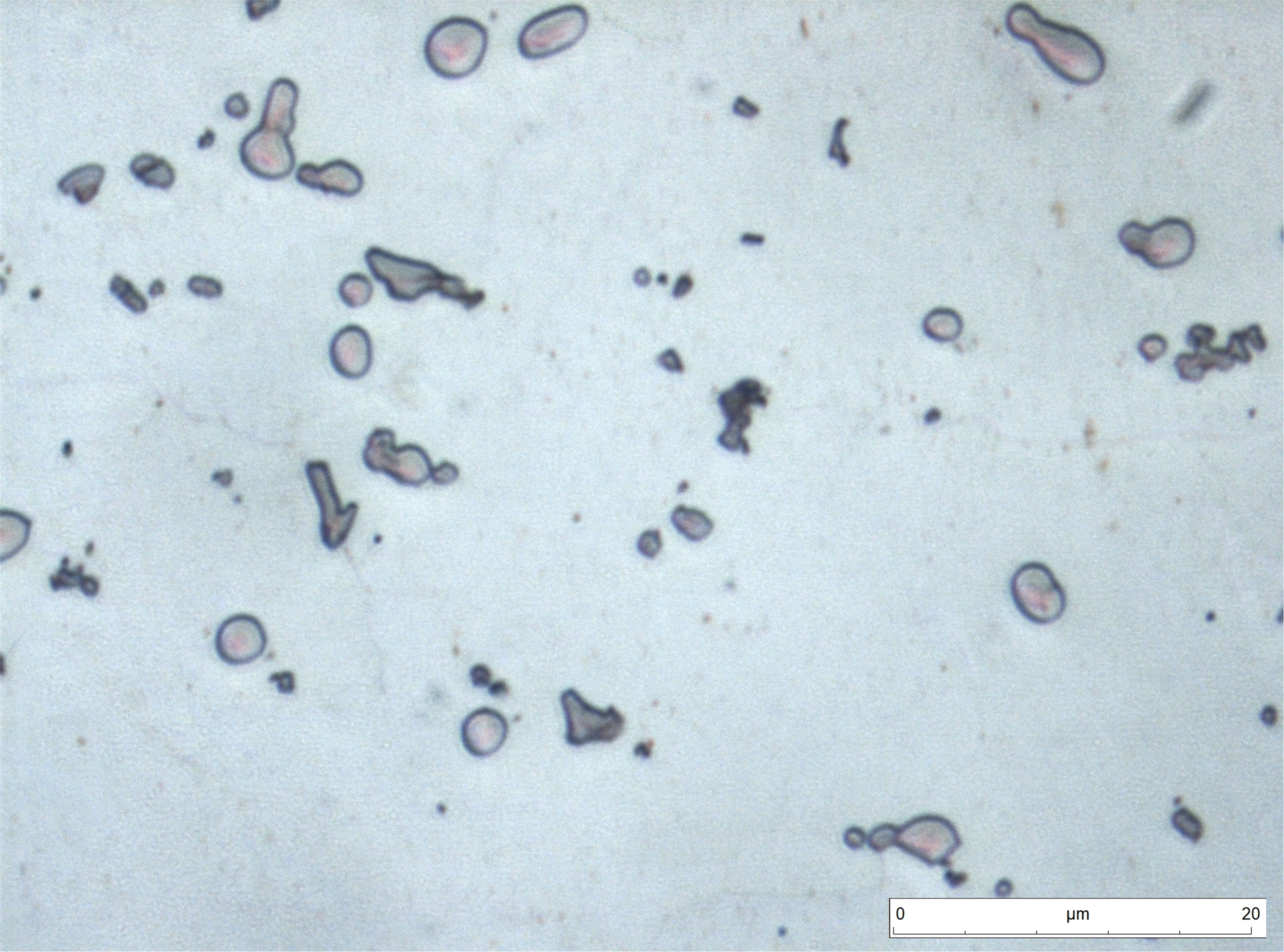 Detalle de las microestructuras anteriores. Las partículas redondeadas de color rosáceo son de primario Al2Cu. Las de color gris oscuro insoluble Al12 (Mn,Fe)3Si. Además, el compuesto endurecedor principal es Al2Cu, no visible al microscopio óptico.