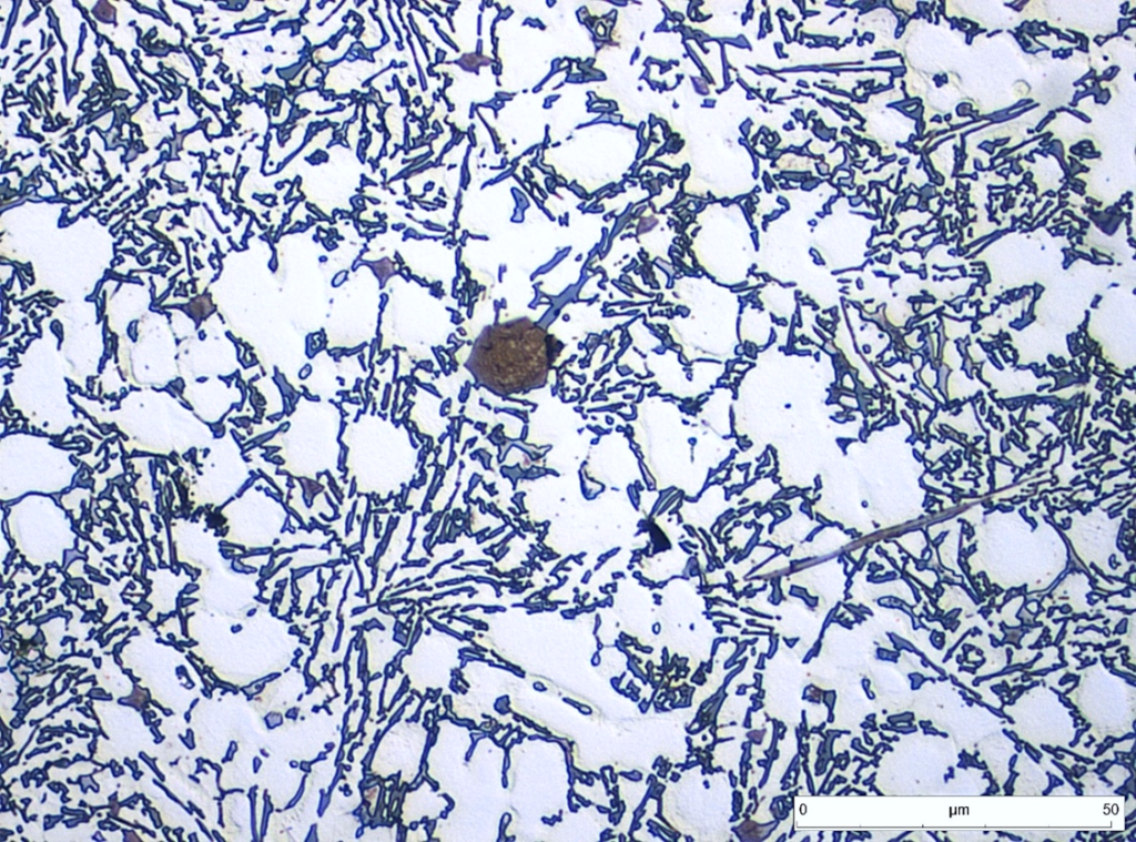 Detalle de la microestructura anterior.