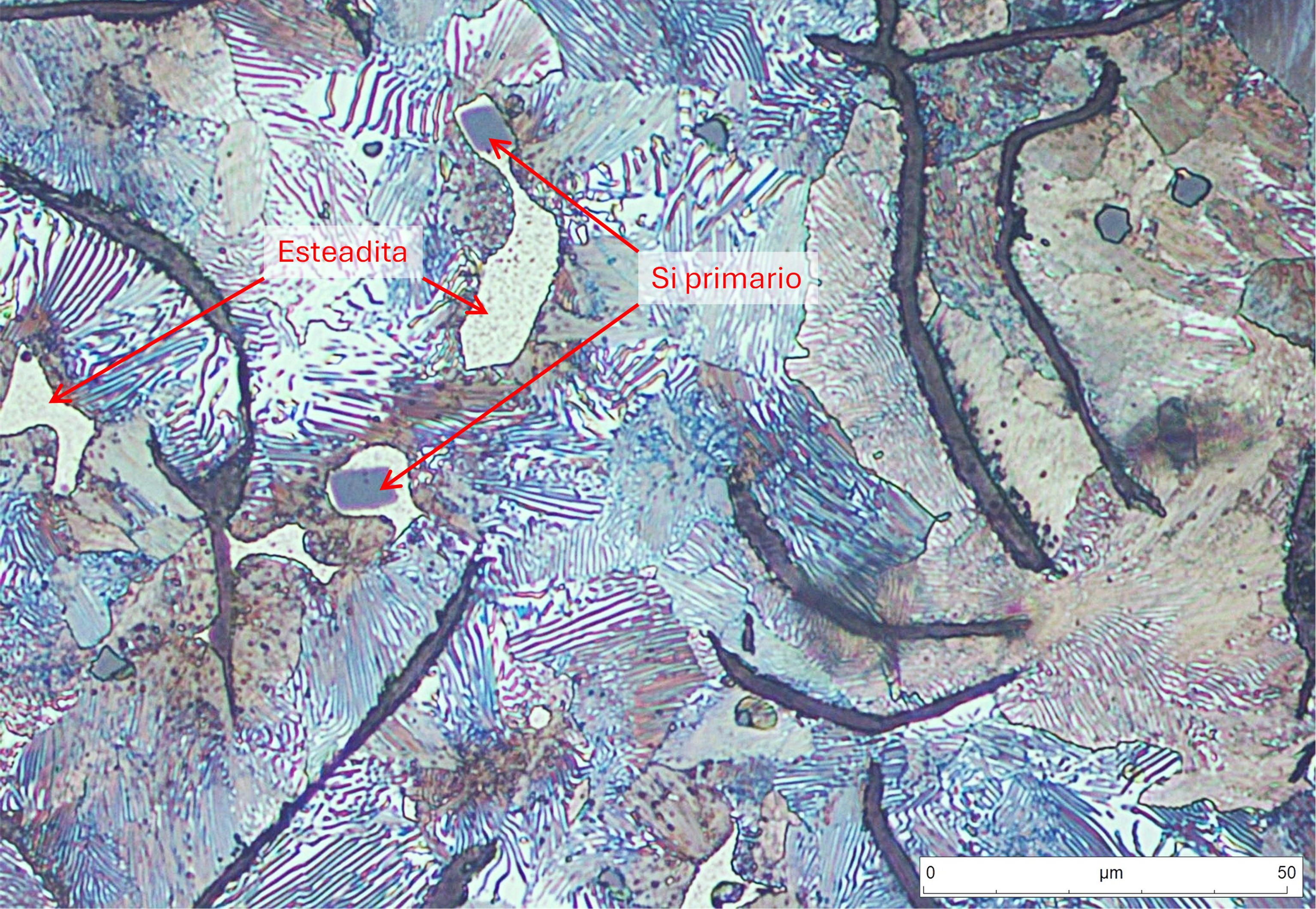 Similar a la micrografía anterior. Detalle de morfología de la esteadita.