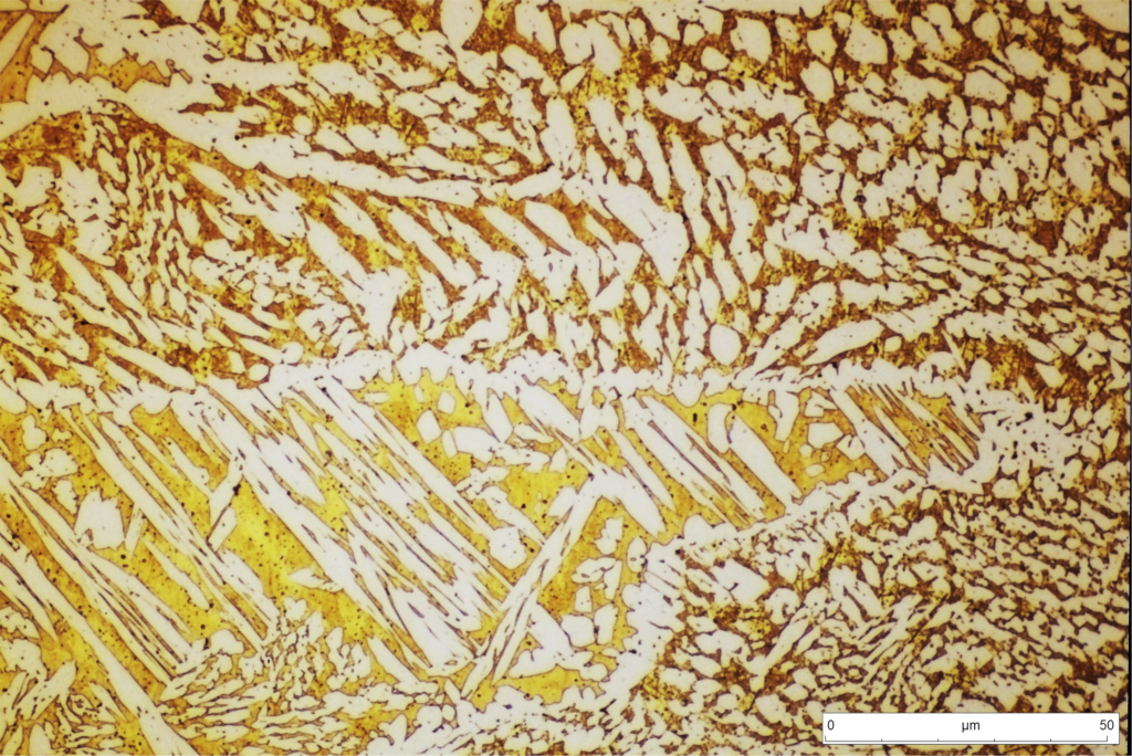 Detalle de la microestructura anterior . Se pueden apreciar las dendritas, de fase α, y la fase β’ interdendrítica.