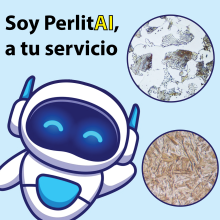 ai-01 ai-01