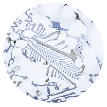 aluminioportada-01