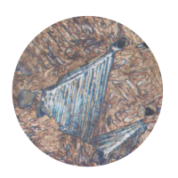 bainitacirculo-01 bainitacirculo-01